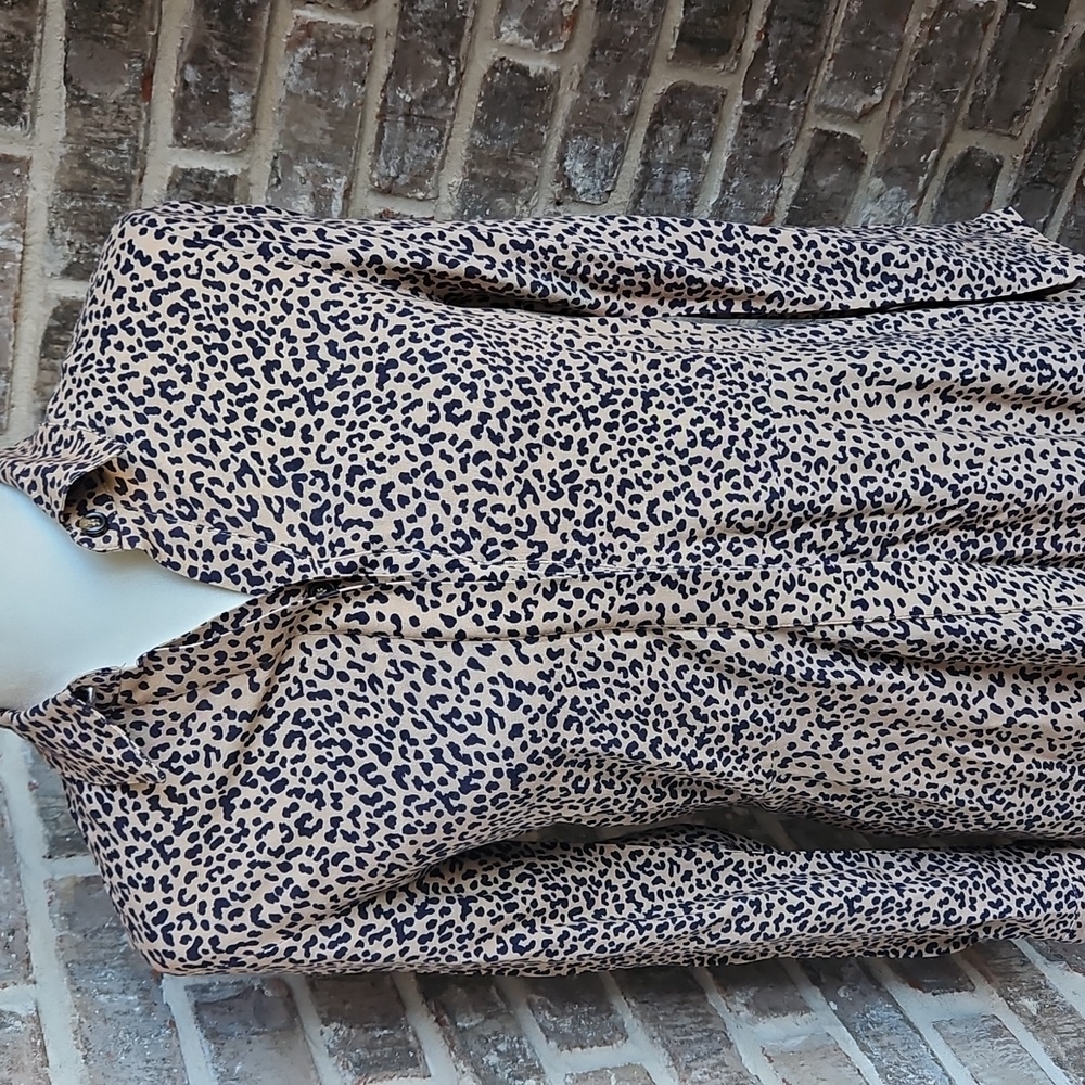 Tuckernuck Aster Leopard Print Maxi Long Sleeve Shift Dress - Picture 3 of 5